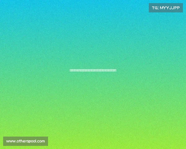 网球赛事主办方职责解析：推动赛事发展与提升品牌价值的关键角色